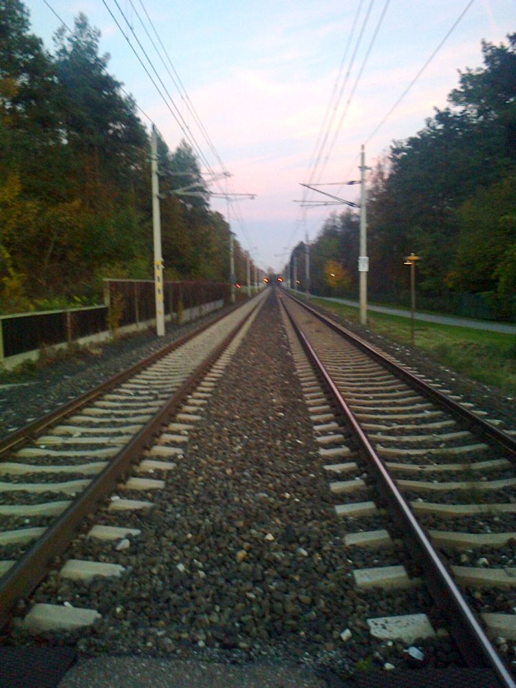 Tracks