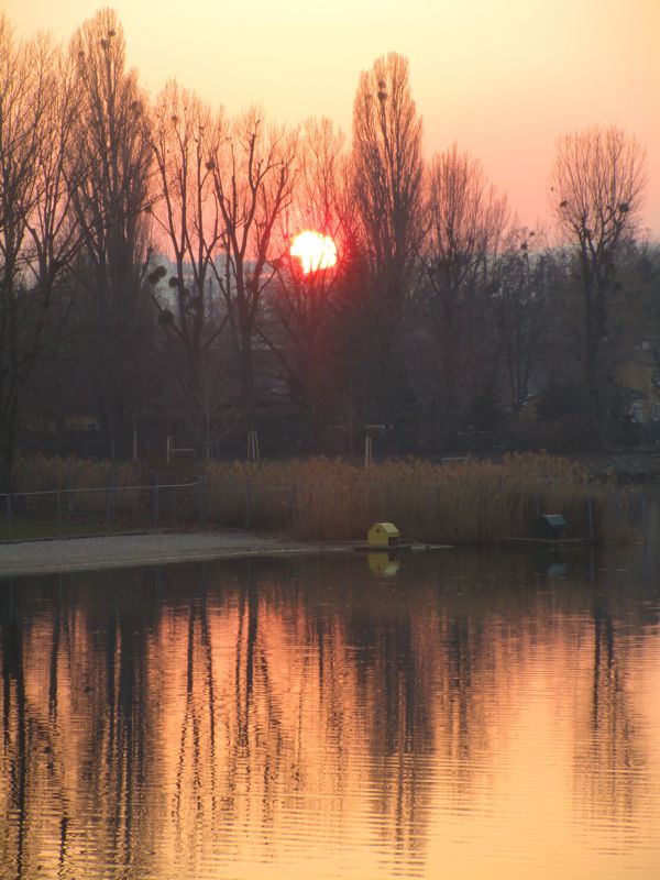 Der Sonnenuntergang an der Alten Donau