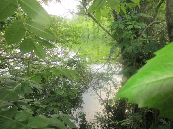 Der Walterskirchner See im Frühling