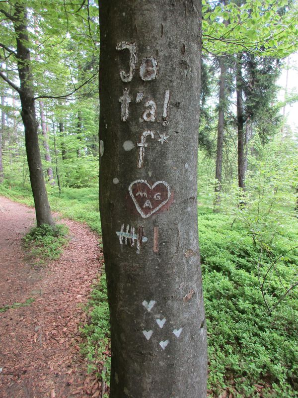 Der Baum mit vielen Herzen