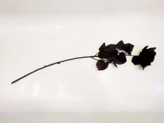 Die künstliche schwarze Rose