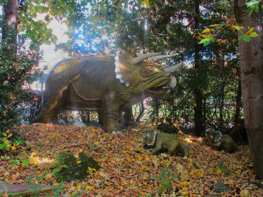 Der große Triceratops und die zwei Triceratopskinder im Reptilienzoo Happ