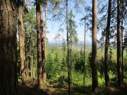 Der 1. Ausblick am 22. April 2020