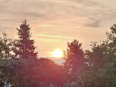 Die aufgehende Sonne über Bäumen in Krumpendorf am 28. August 2024