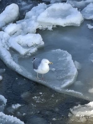 Copyright: Frank Joussen