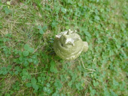 Der Vogelkönig im Gras