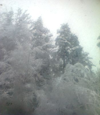 Blick vom Bett aus im Winter