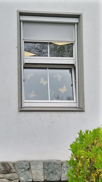 Das Schmetterlingsfenster im Kindergarten des Diözesanhauses