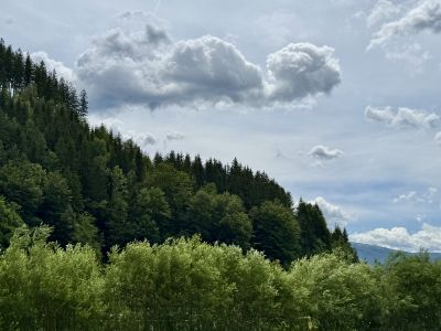 Copyright: Wilfried Ledolter